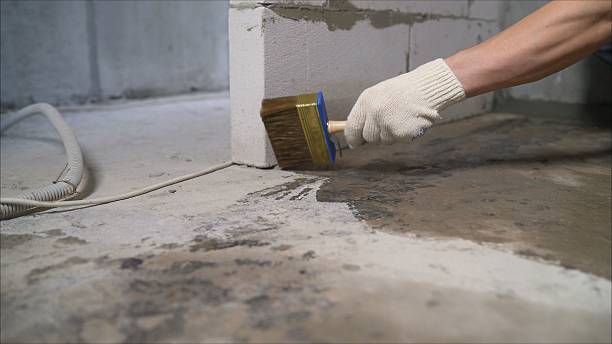 Top rated local Waterproofing specialists in Paeonian Springs, VA